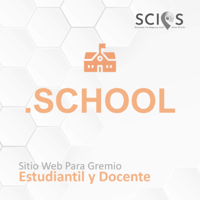 Dominio .SCHOOL