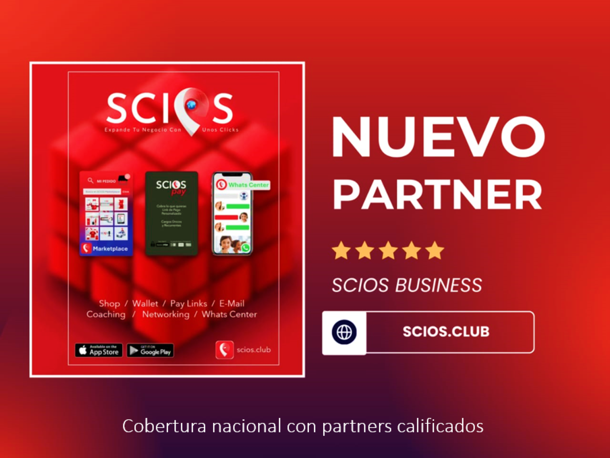 Banner Partners 2025 Cel
